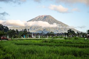 Lush green rice fields with a majestic volcanic mountain partially covered by clouds in Bali, Indonesia.
