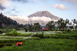 Lush green rice fields with a majestic volcano rising above clouds in Bali, Indonesia, at dusk.