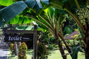 Tropical garden toilet sign surrounded by lush banana trees and greenery in a scenic outdoor setting.