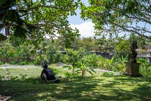 Person sitting on lush green grass under tropical trees in a serene garden with buildings visible in the background.