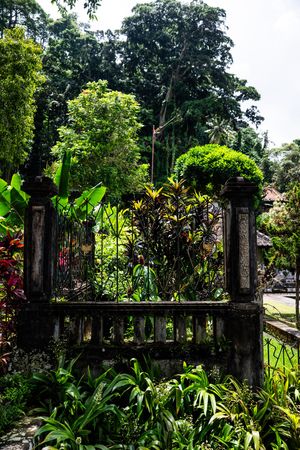 Ancient stone gate overgrown with lush tropical plants and greenery in a Balinese garden setting.