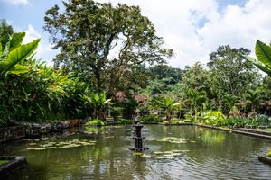 Serene Balinese water garden with lily pads, stone fountain, lush tropical trees, and traditional temple structures.