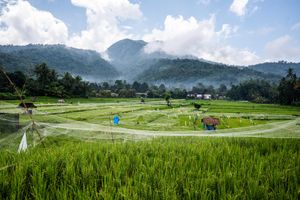 Lush green rice terraces with circular patterns under a partly cloudy sky, surrounded by tropical mountains in Southeast Asia.