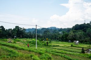 Lush green rice terraces with a lone figure in red, utility pole, and forested hills under a partly cloudy sky.