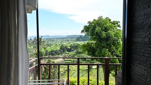Scenic balcony view of lush green tropical landscape and rice fields under blue sky.