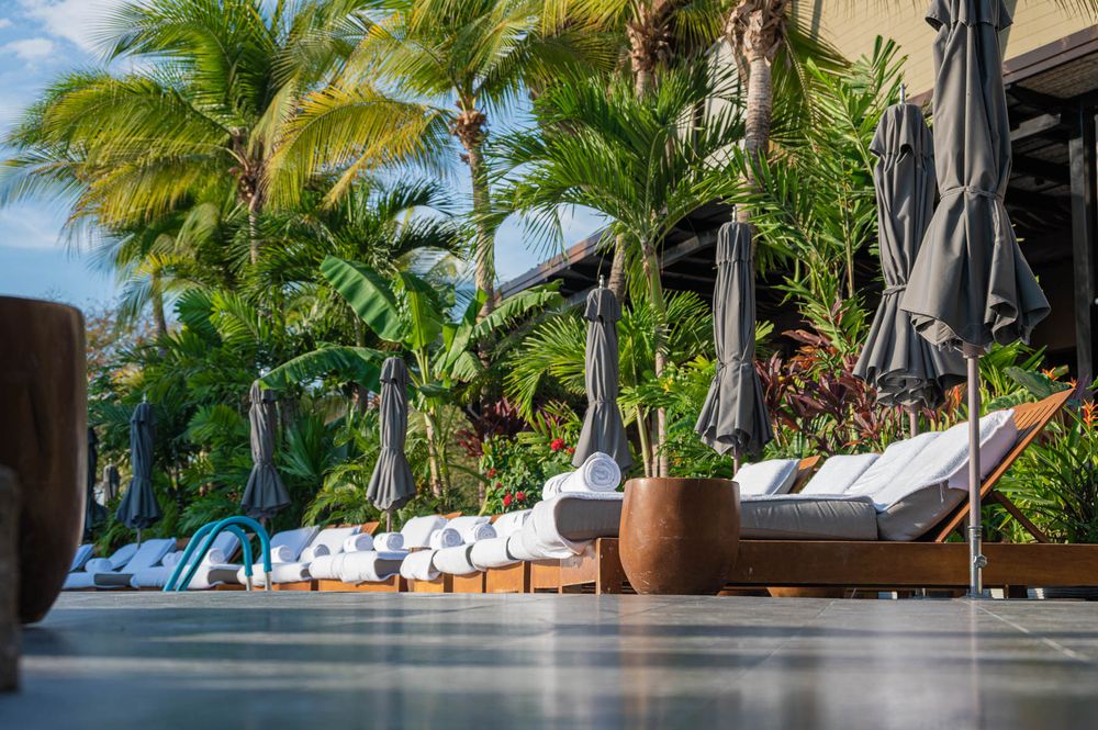 Luxury poolside lounge chairs with closed umbrellas and lush tropical palm trees at an upscale resort.