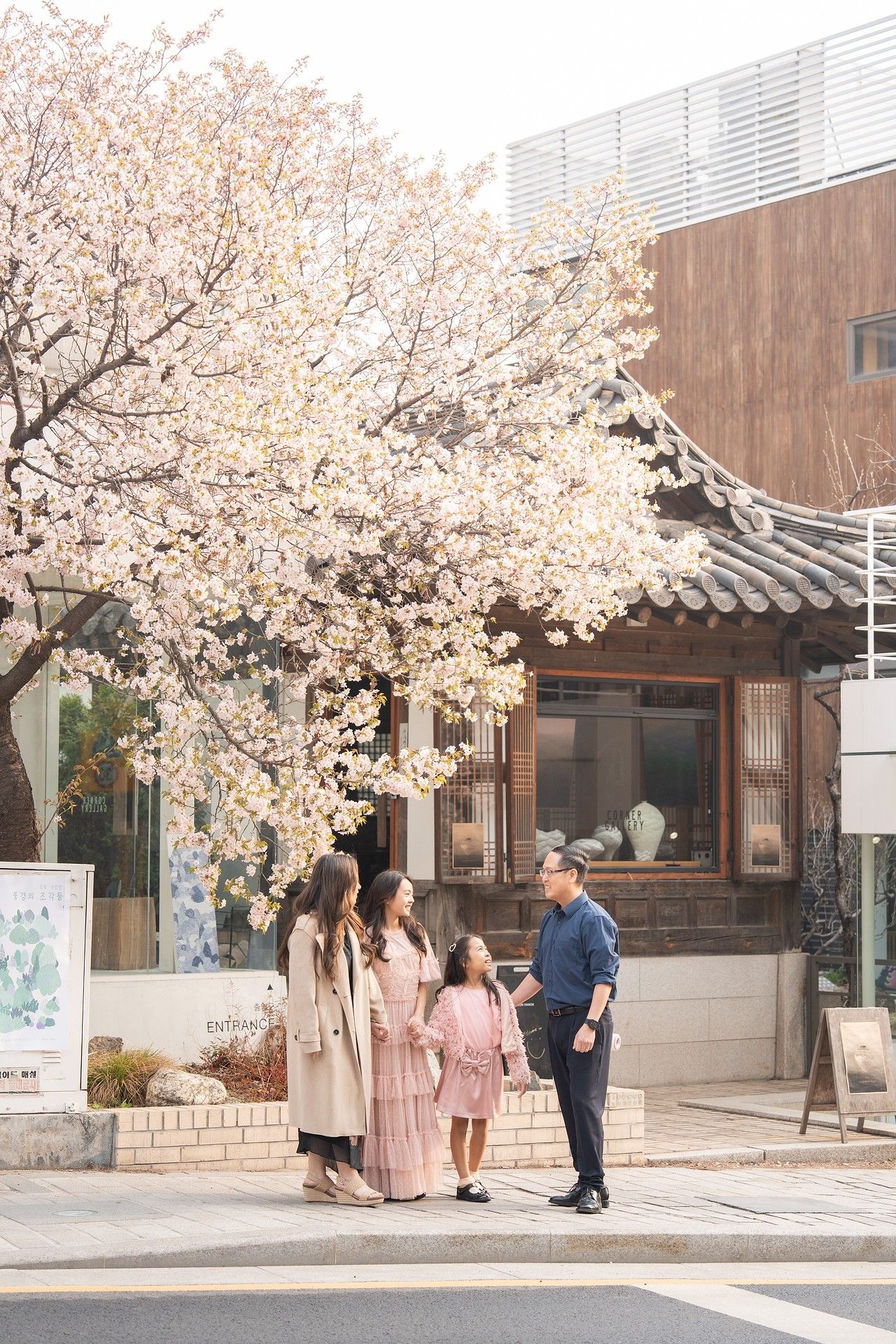 Family of four standing under blooming cherry blossom tree near traditional Korean building in spring.