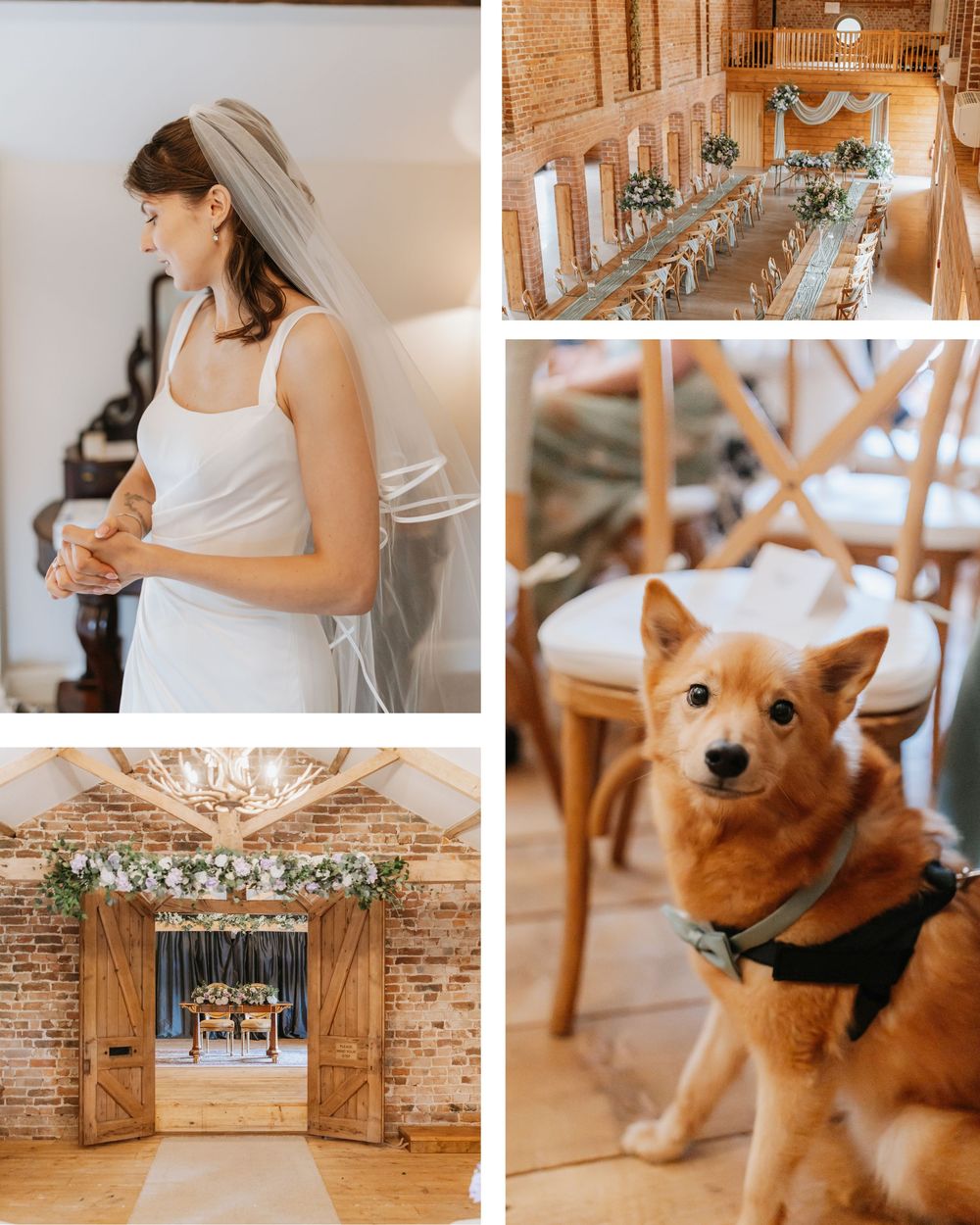Bride in white dress and veil, decorated barn wedding venue with long table, golden retriever dog, and rustic barn entrance.