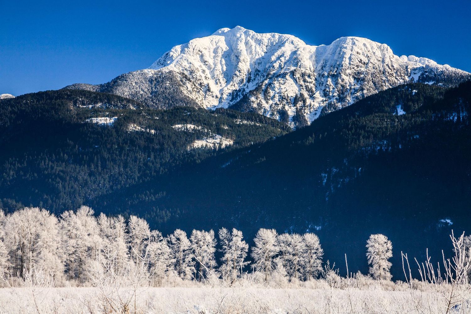 Pitt Lake, Pitt Meadows, Maple Ridge Golden Ears Mountains, Mount Blanshard, British Columbia