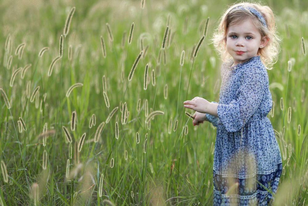 Springfield, IL Family Photographer