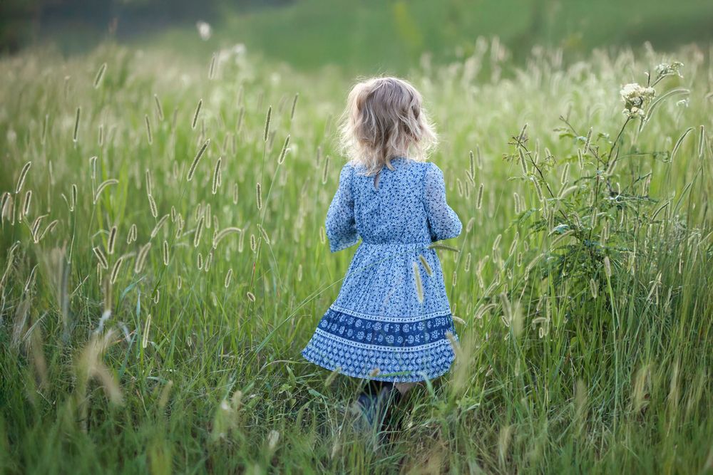 Springfield, IL Family Photographer