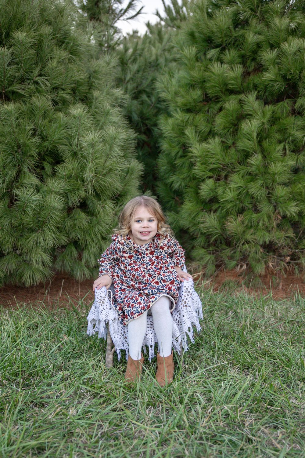 Springfield, IL Family Photographer
