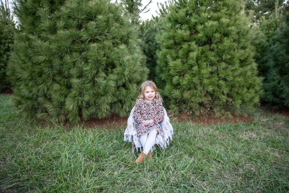 Springfield, IL Family Photographer