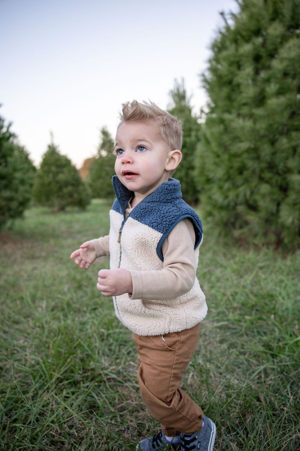Springfield, IL Family Photographer