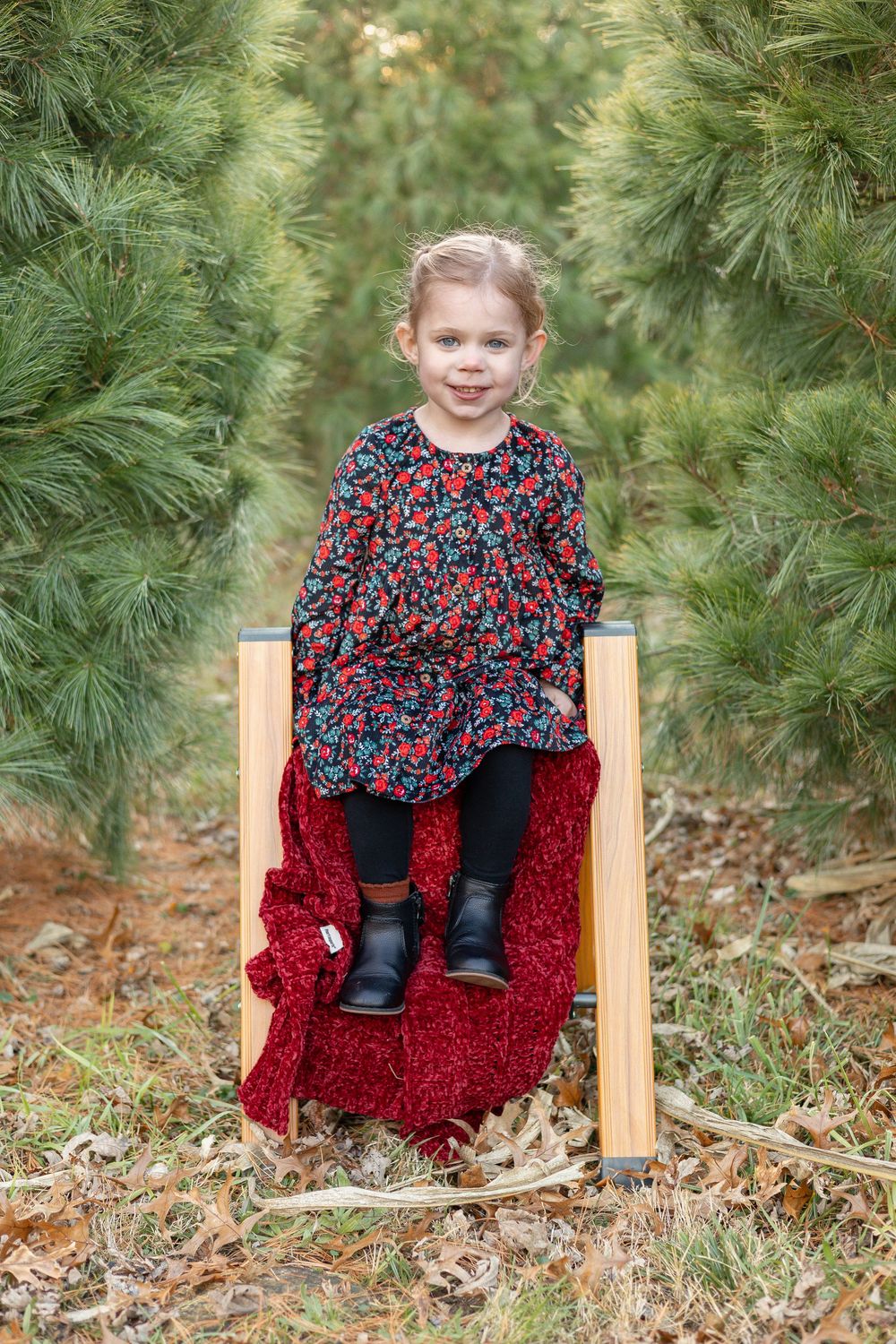 Springfield, IL Family Photographer