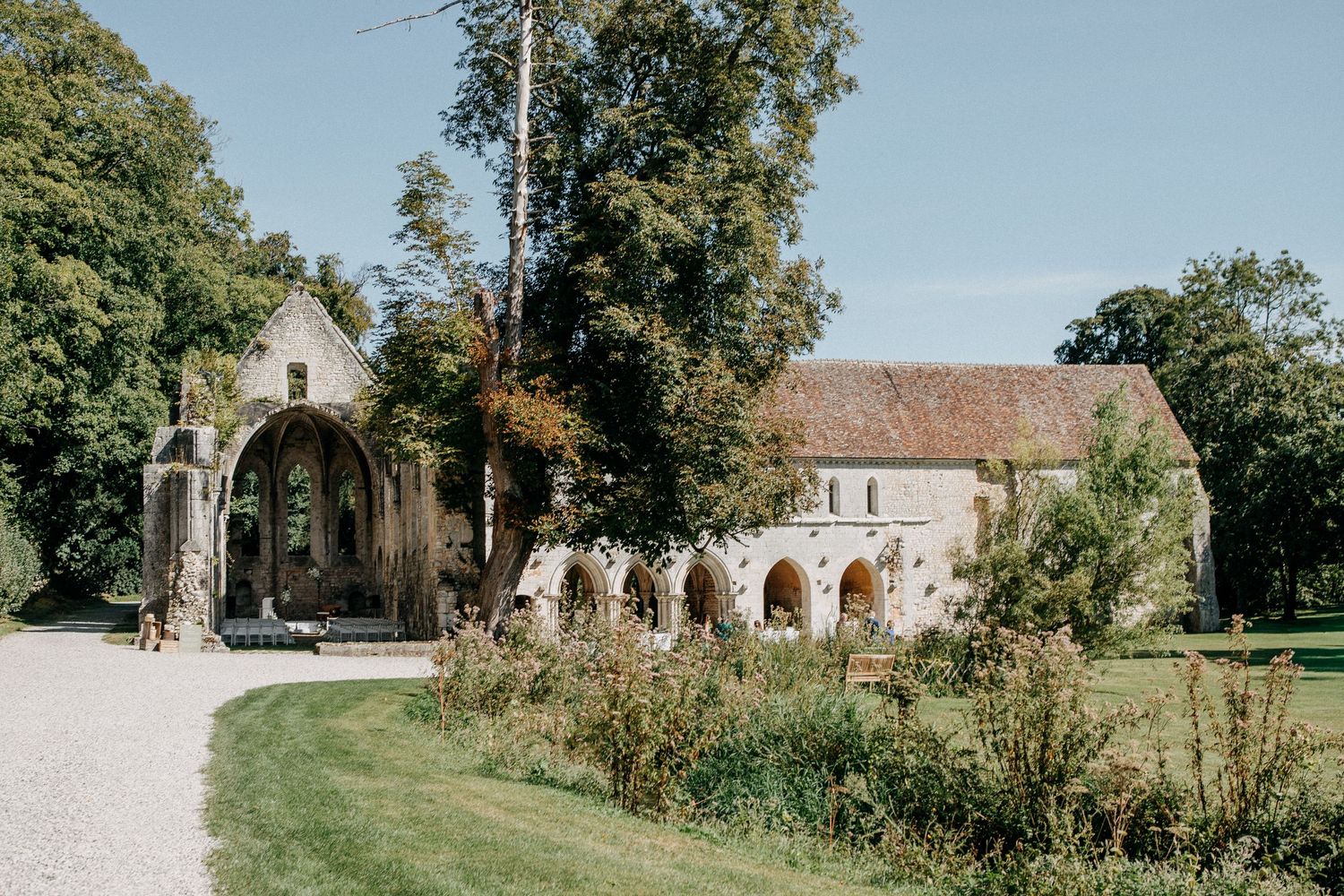 Sunlit ancient stone abbey ruins surrounded by lush green trees and manicured gardens on a clear day.