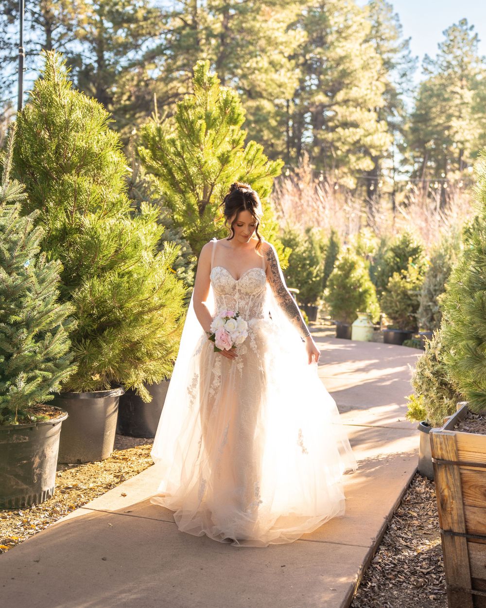 A bride in a flowing white gown walks along a path lined with evergreen trees.
