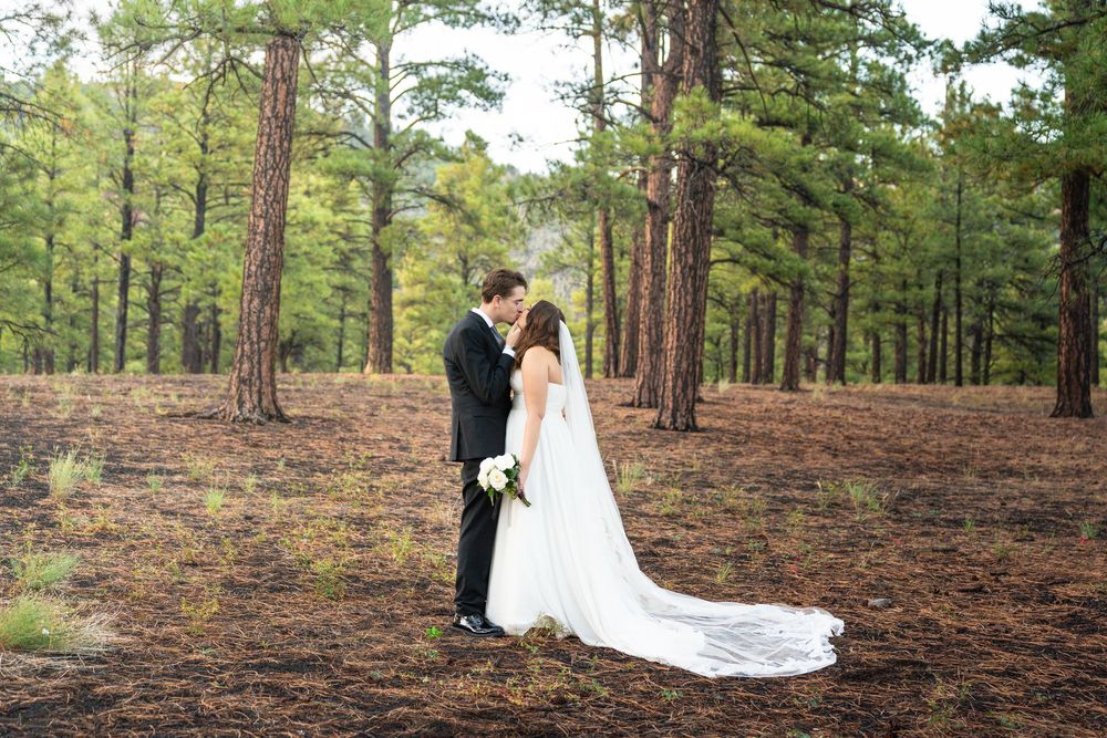 Wedding couple poses among tall pine trees in a romantic forest setting.