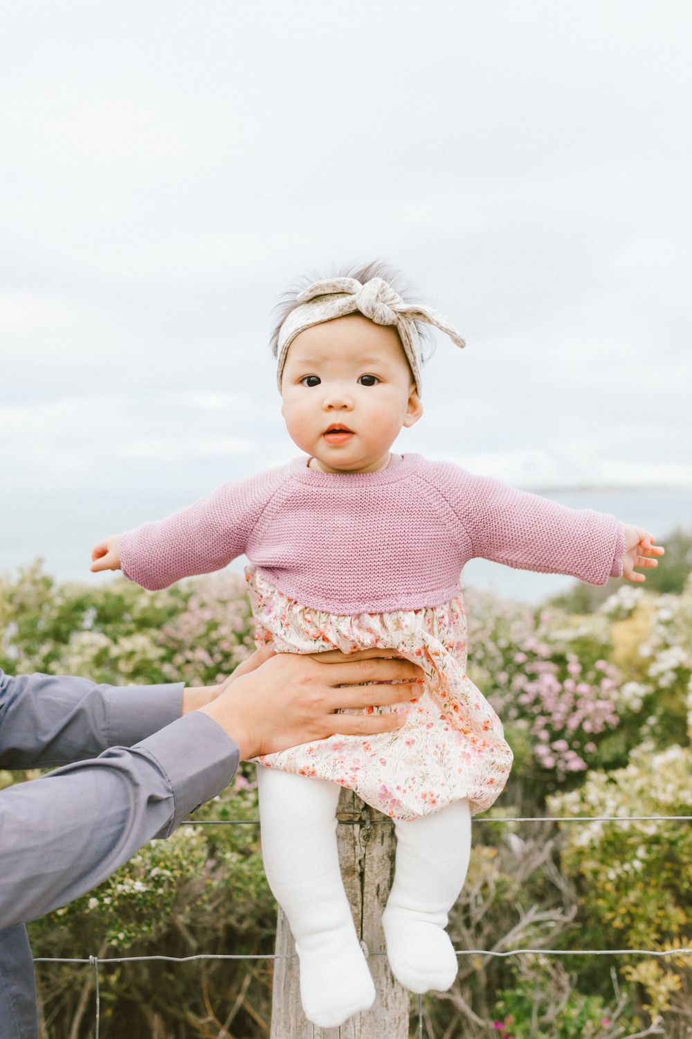 Baby in pink sweater and floral dress being lifted up against flowering bushes in outdoor setting.