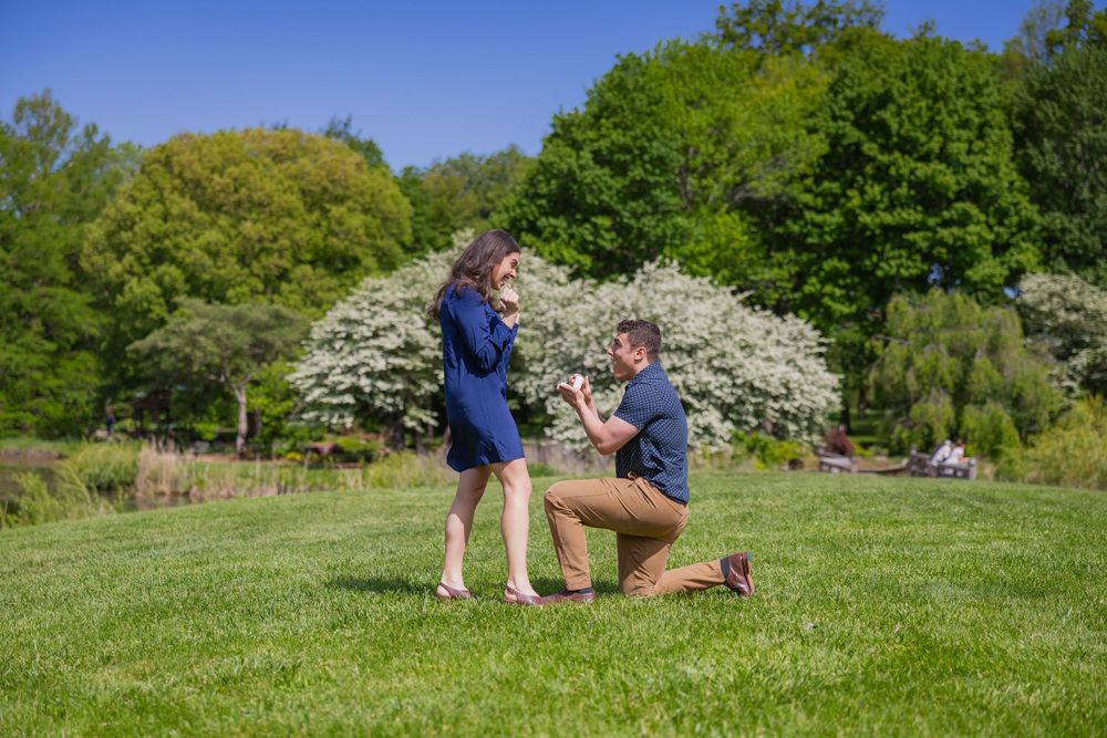 Man on his knee proposing to his girlfriend at Japan House UIUC