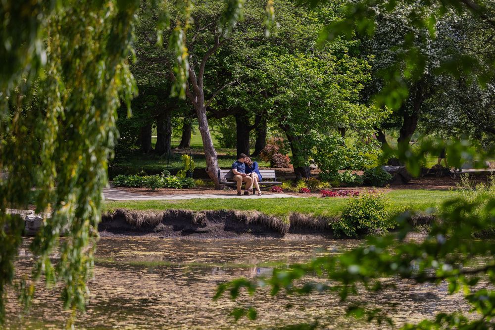 Couple sitting on a bench after getting engaged at Japan House UIUC