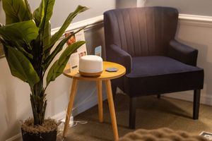 Contemporary spa waiting area with indoor plants, modern furniture and warm lighting.