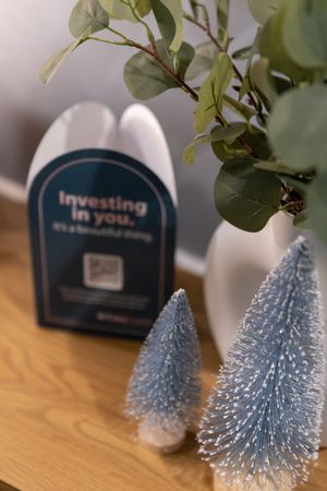 Small decorative silver tinsel trees next to a blue mailbox with 'Investing in you' text on wooden surface.