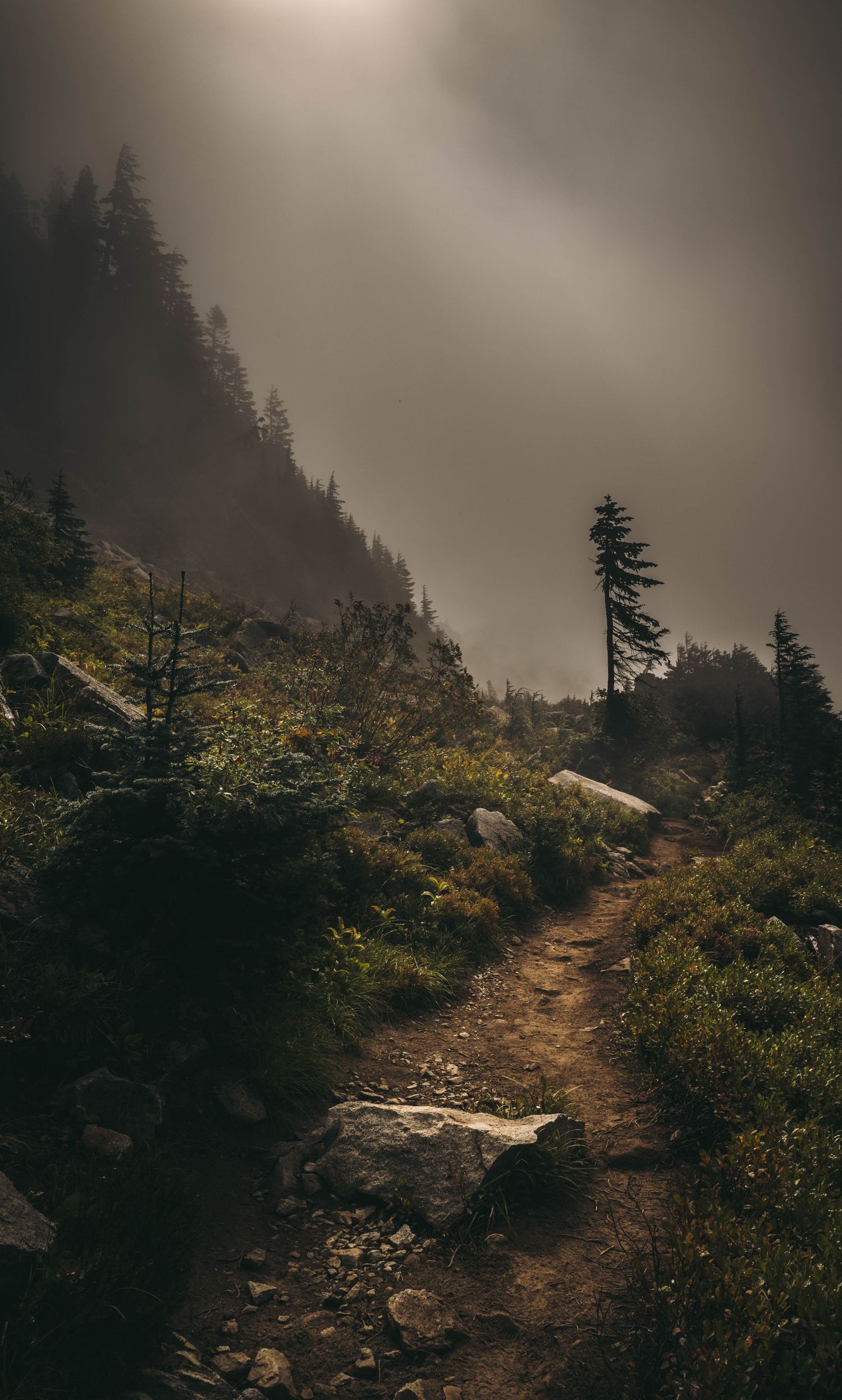 Moody mountain trail through fog with dramatic light rays filtering through dark evergreen trees and rocky terrain.