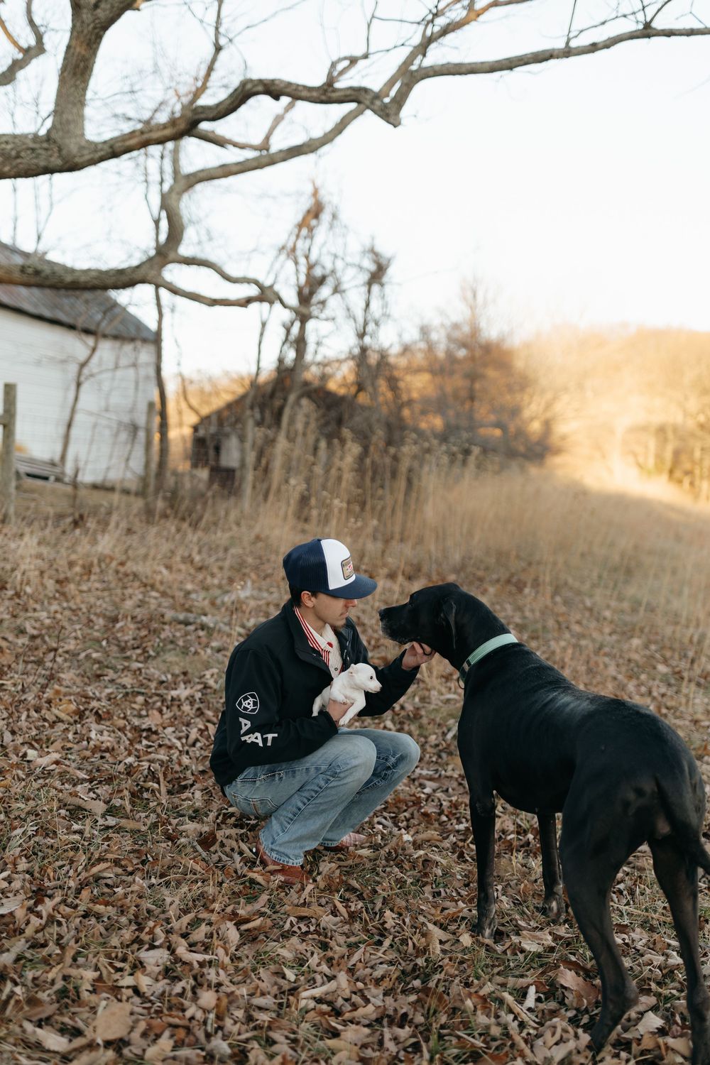 A black dog and person share a tender moment in a field of fallen autumn leaves at sunset.