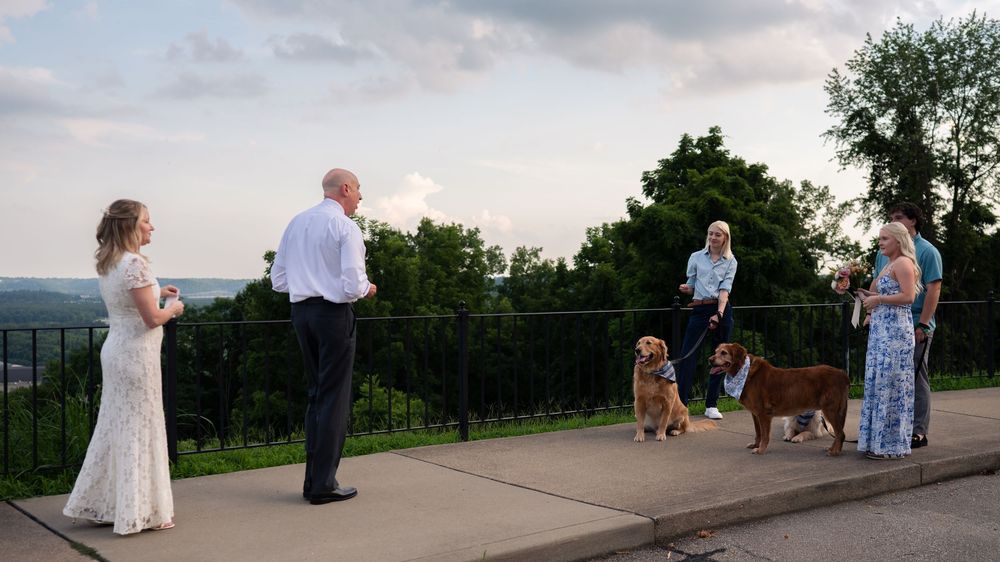 Wedding couple and guests with golden retrievers on an outdoor terrace overlooking lush green hills at dusk.