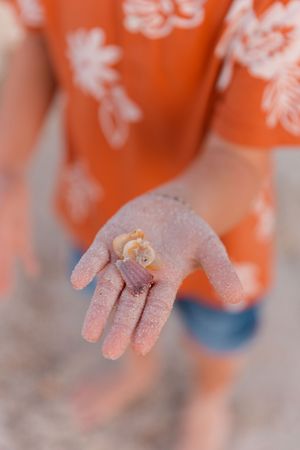 A sandy hand holds a tiny seashell on the beach with orange and white floral patterns visible in the background.