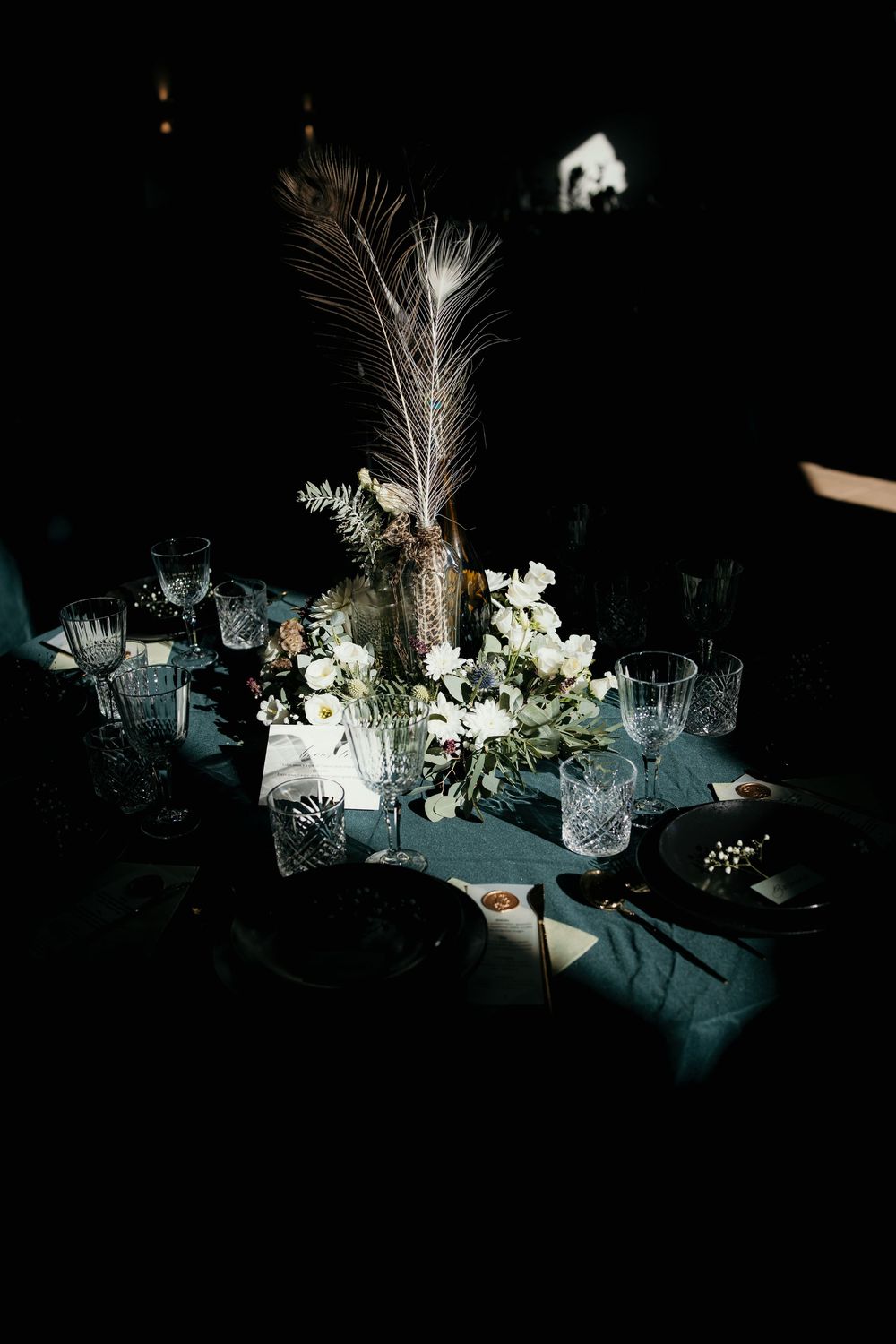 Elegant table setting with white flowers and peacock feathers illuminated dramatically against a dark background.