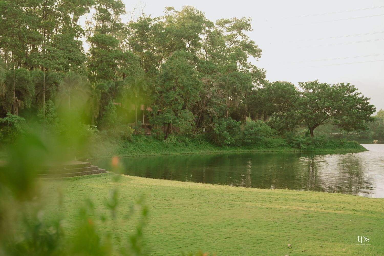 A serene lakeside landscape with green trees and manicured grass along the shoreline.
