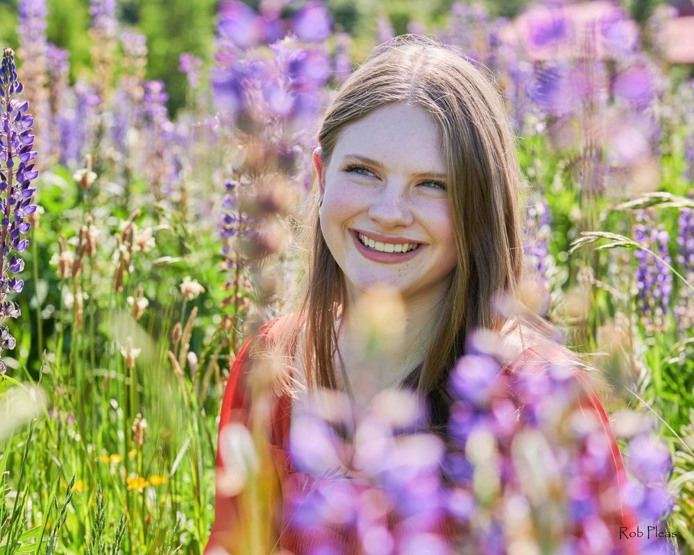 High school senior female wearing orange dress kneeling in Lupine fields near Farm 12 in Puyallup, WA