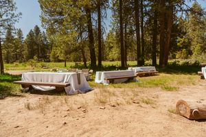 Old couches and furniture sit abandoned in a sandy clearing surrounded by tall pine trees on a sunny day.