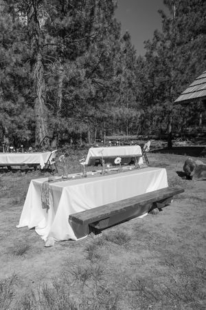 Row of long white-covered tables set up outdoors in a rustic woodland setting in black and white.