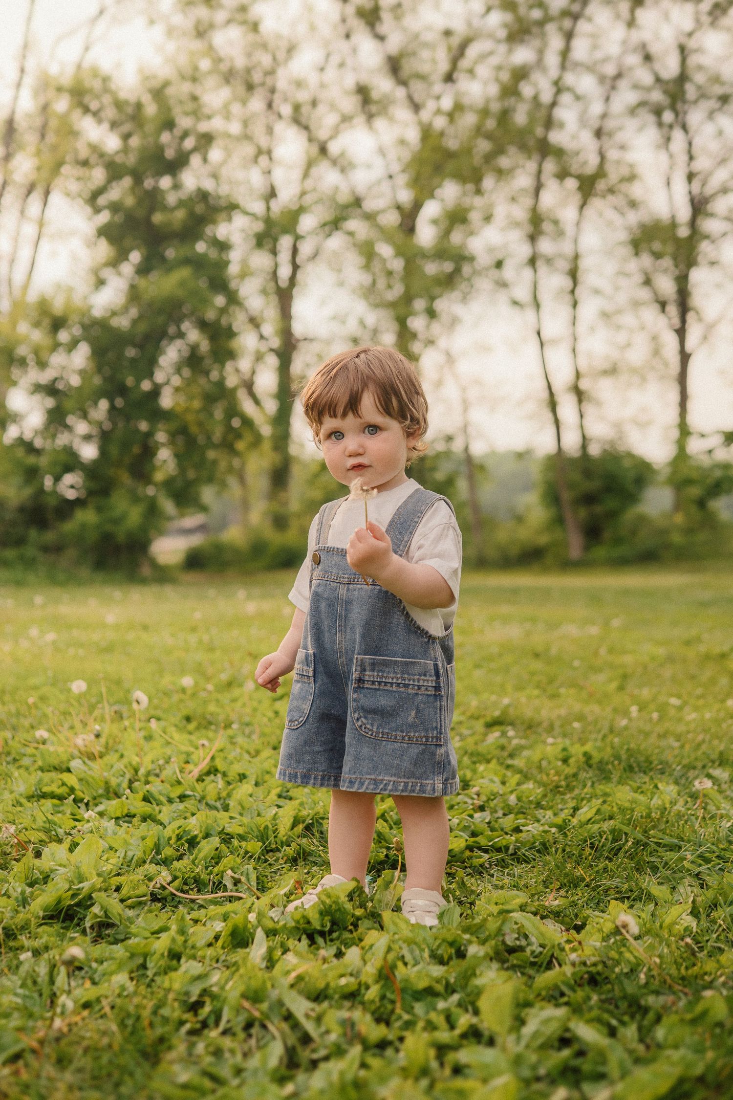 Small child in denim overalls stands alone in a grassy meadow with trees in the background during golden hour.