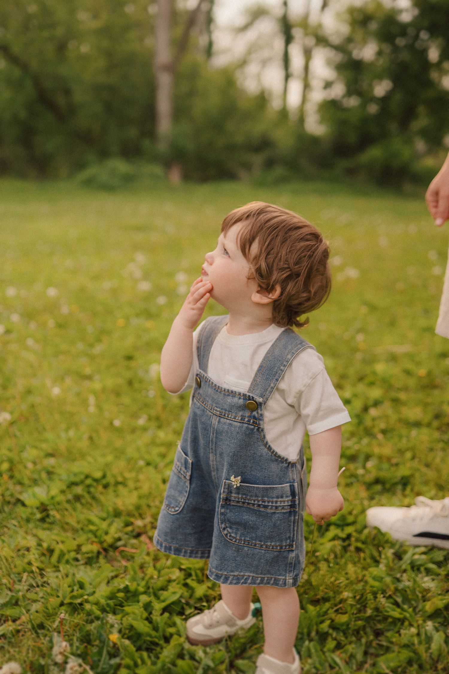 A small child in denim overalls and white t-shirt stands in a grassy field looking upward at the sky.