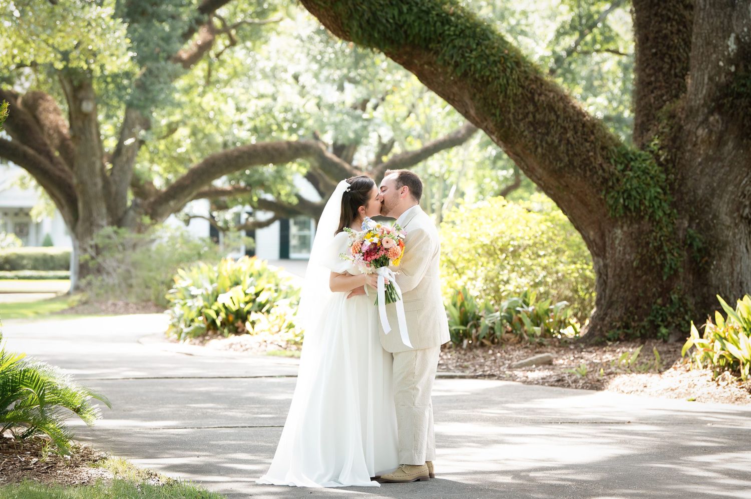 Wedding group photographed beneath a grand oak tree's arching branches.