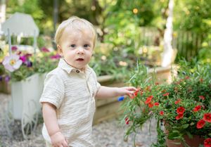 Outdoor garden setting with red flowering plants and natural stone pathways.