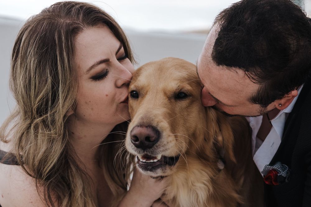 A series of romantic photo booth style shots showing a couple and their golden retriever sharing sweet moments together.