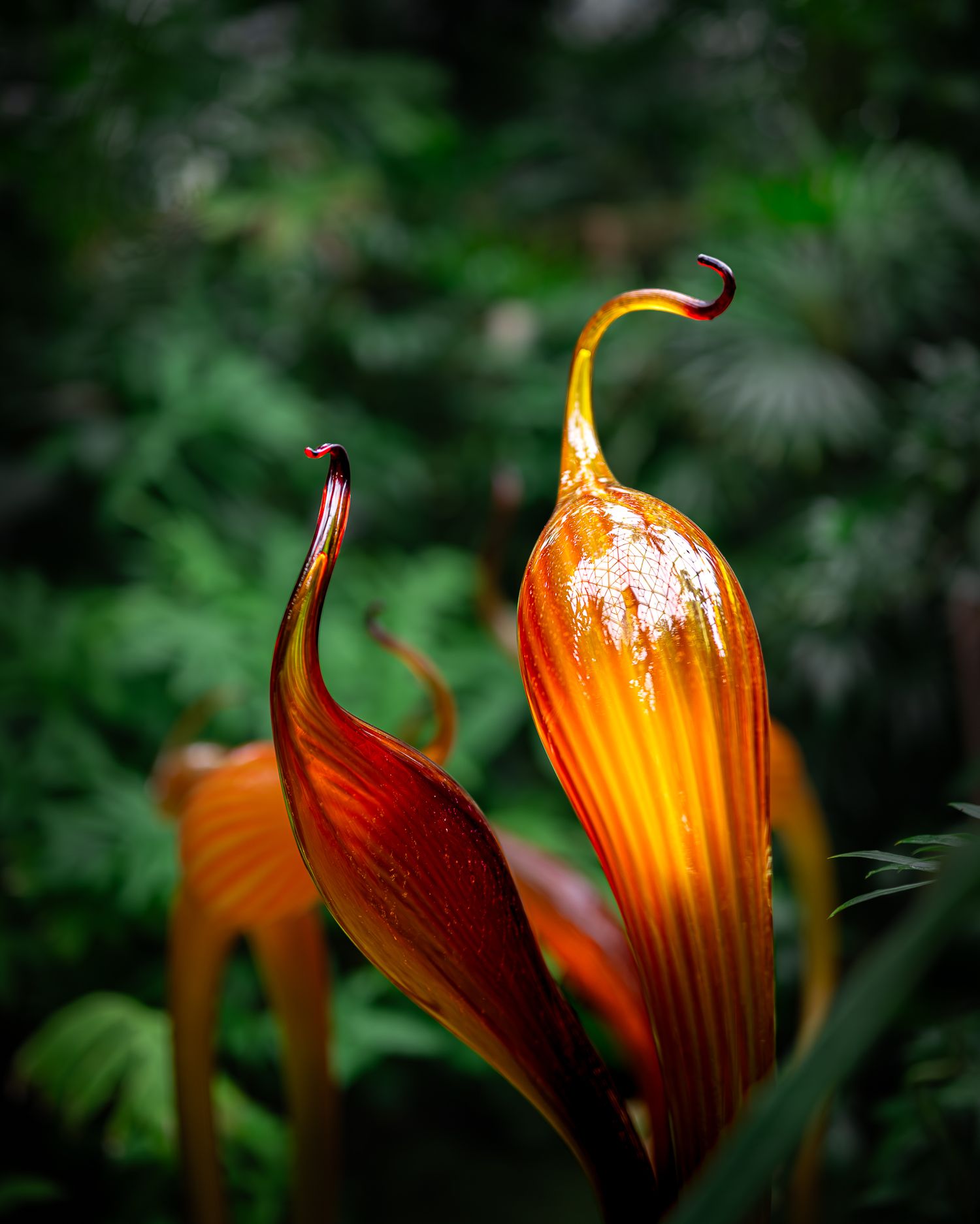 An artistic macro photograph series showing orange and red heliconia flowers against a dark green blurred background.