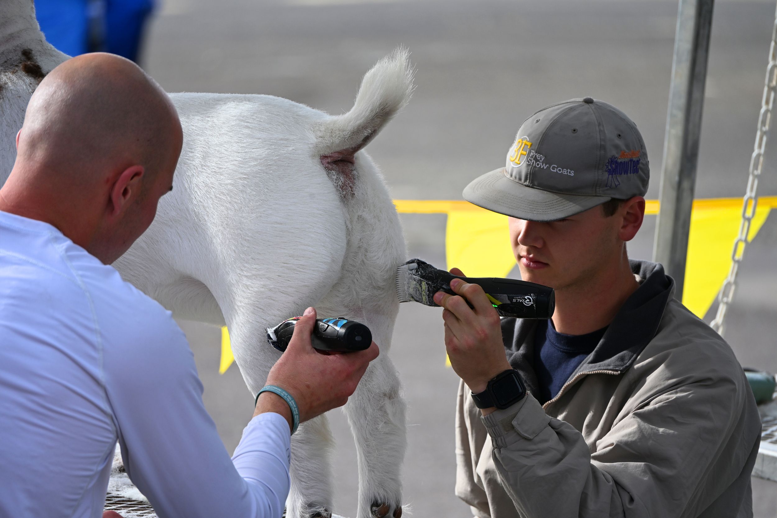 Arizona National Livestock Show 2025