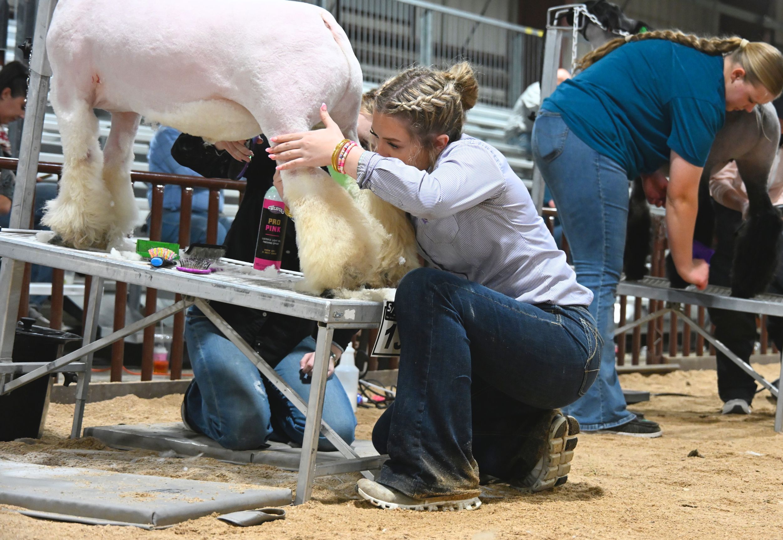 Arizona National Livestock Show 2025
