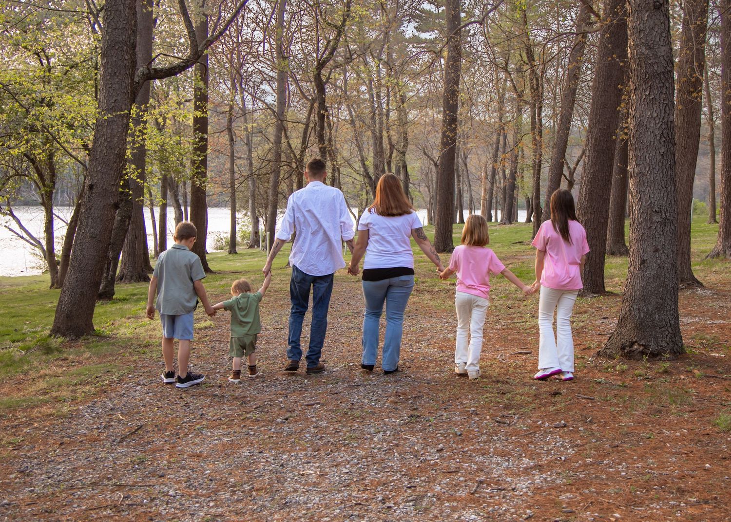 Silhouettes of people walking through a serene nature park on winding trails surrounded by lush green trees.