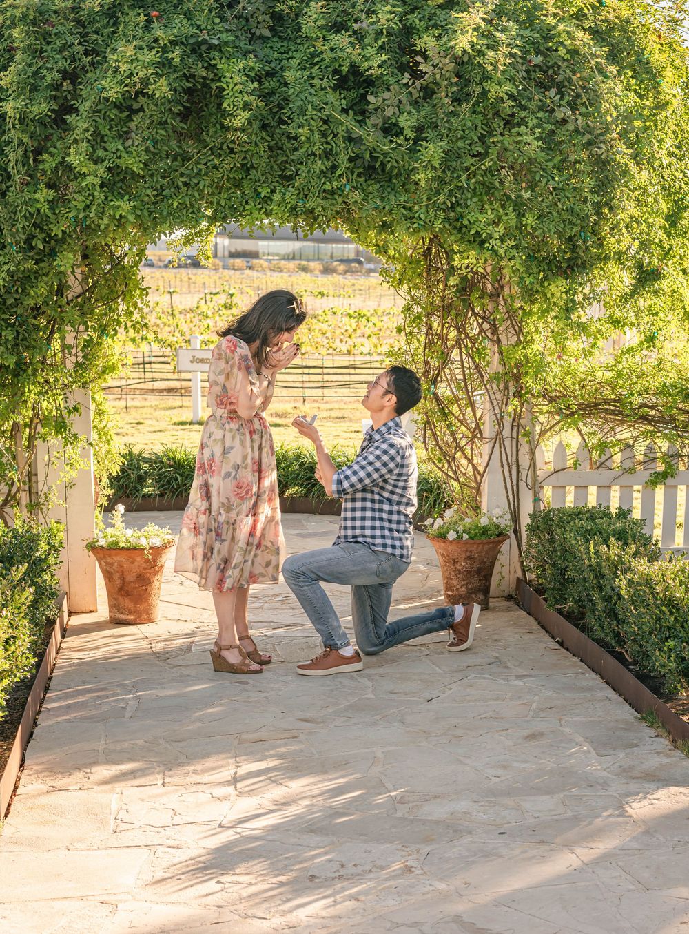 Man proposes on one knee to woman under lush green garden archway at a sunny vineyard estate.