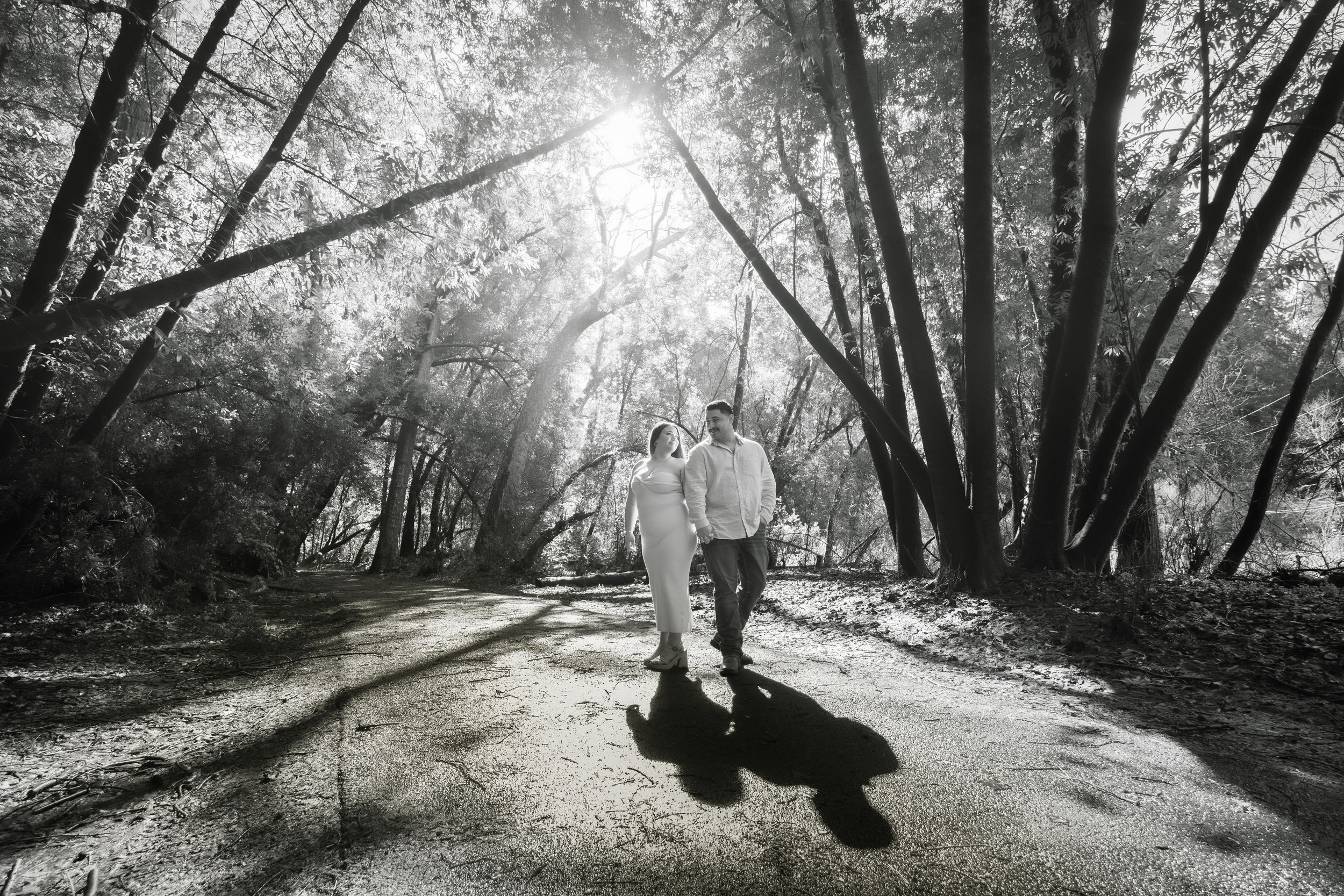 engaged couple candid moment at the Redwoods.