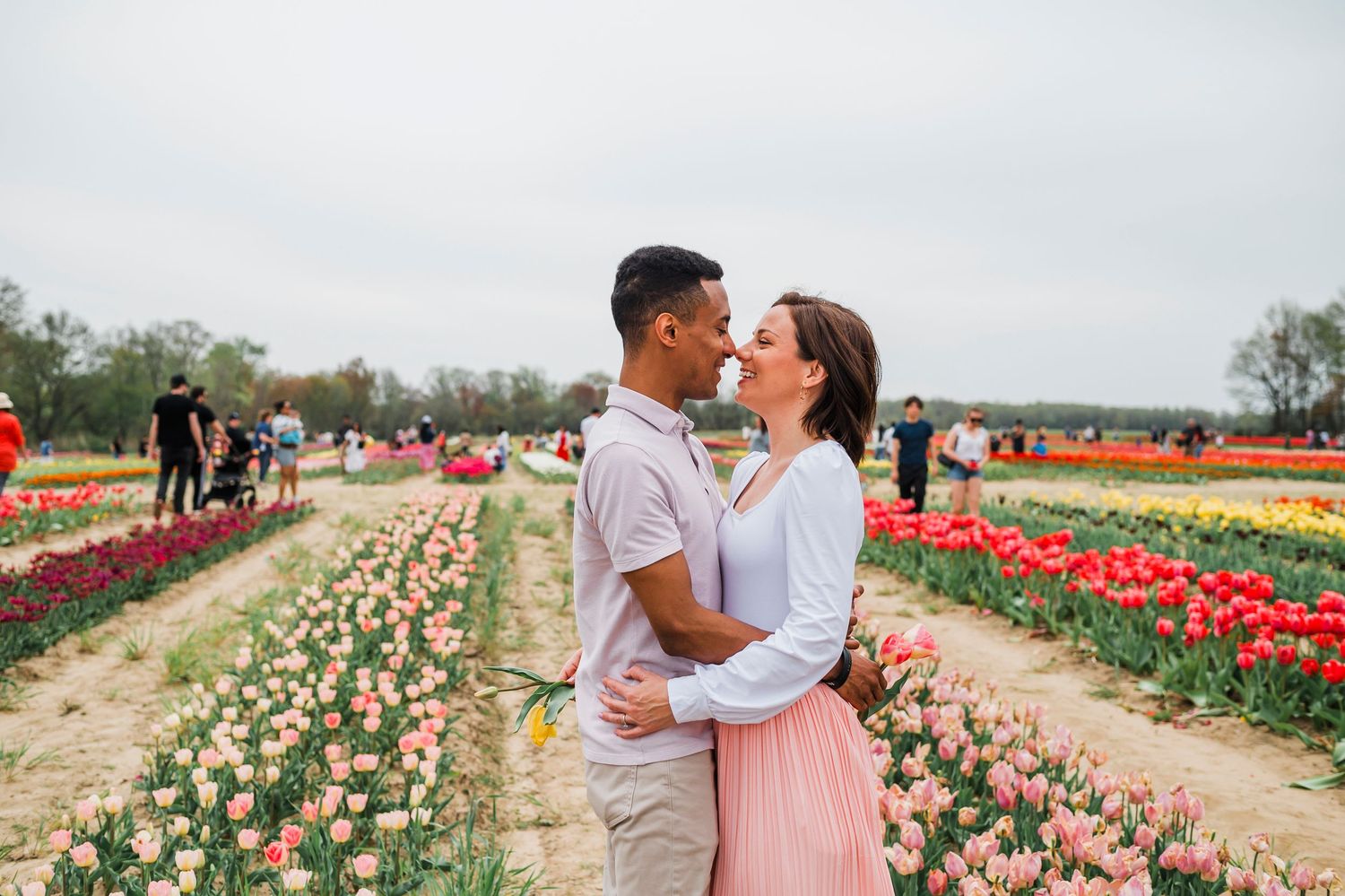 A couple embraces in a romantic moment surrounded by colorful tulip fields on a spring day.