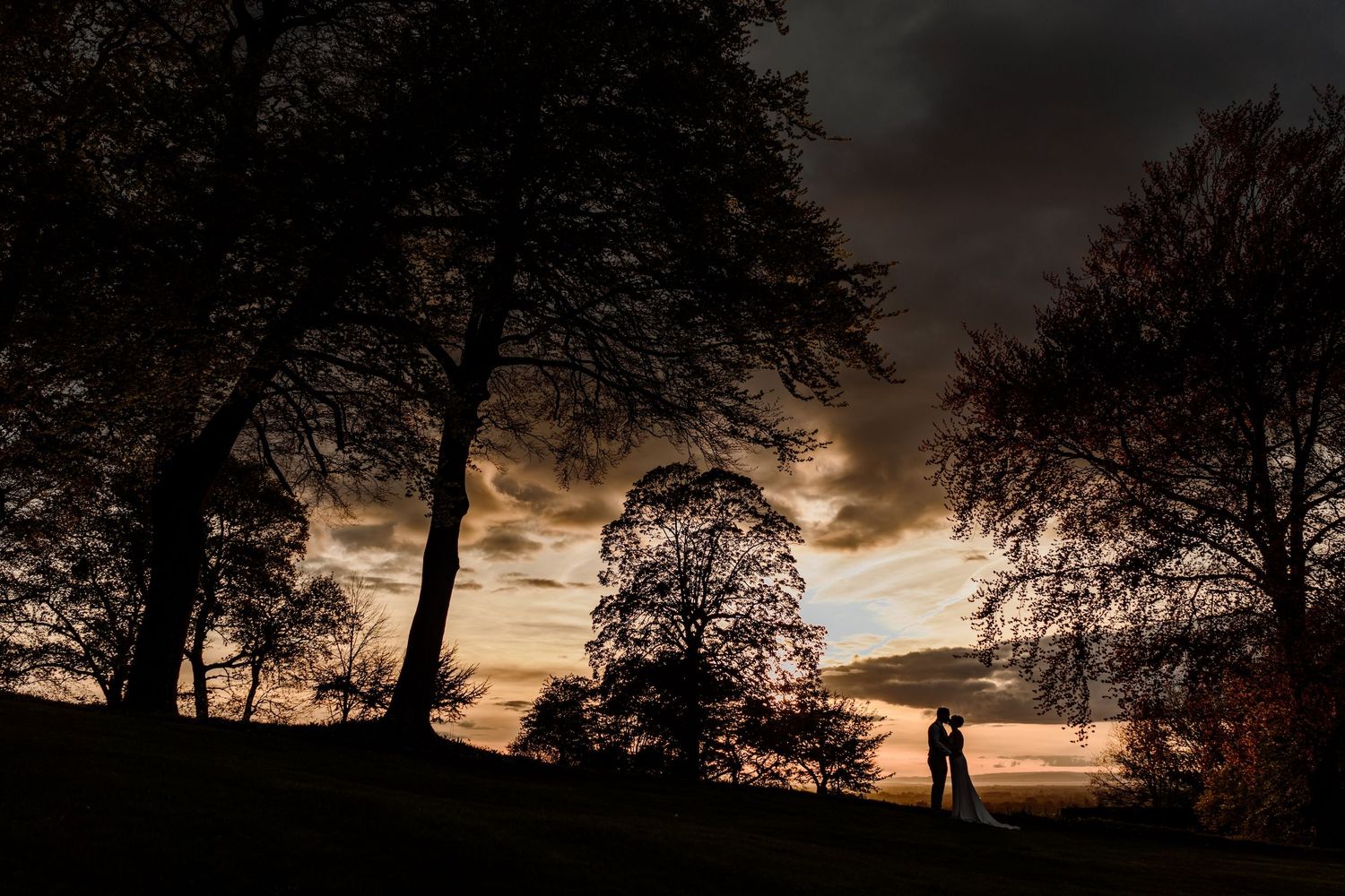 Dramatic sunset silhouette of trees against a dark moody sky.