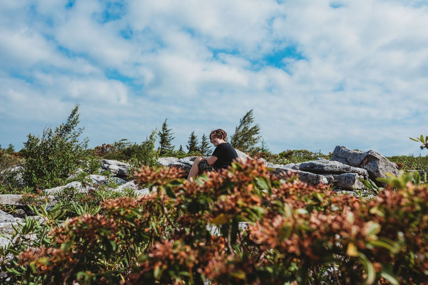 Someone sitting among orange-hued bushes and rocks on a hilltop with blue skies overhead.